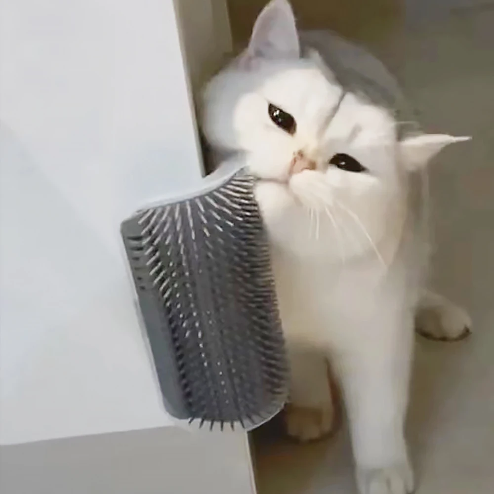 Article le plus vendu : Masseu - Hair Care Good Hair avis et prix